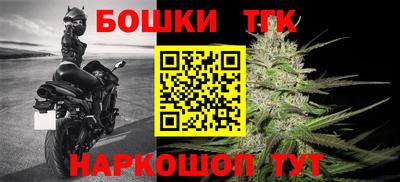 индика Донецк
